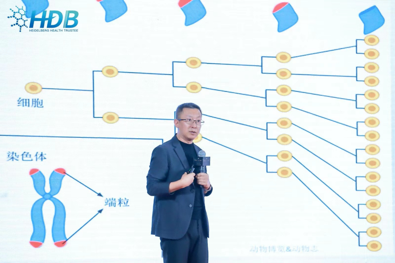 1704261344794381.png wps_doc_14.png